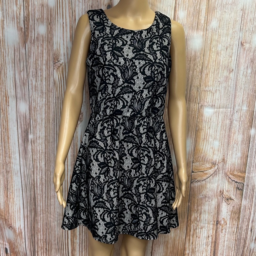 Heart Soul Lace Skater‎ Dress